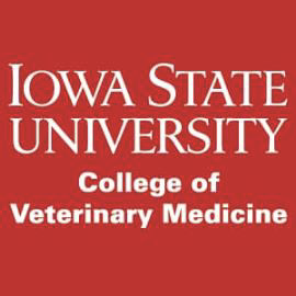 Iowa State University